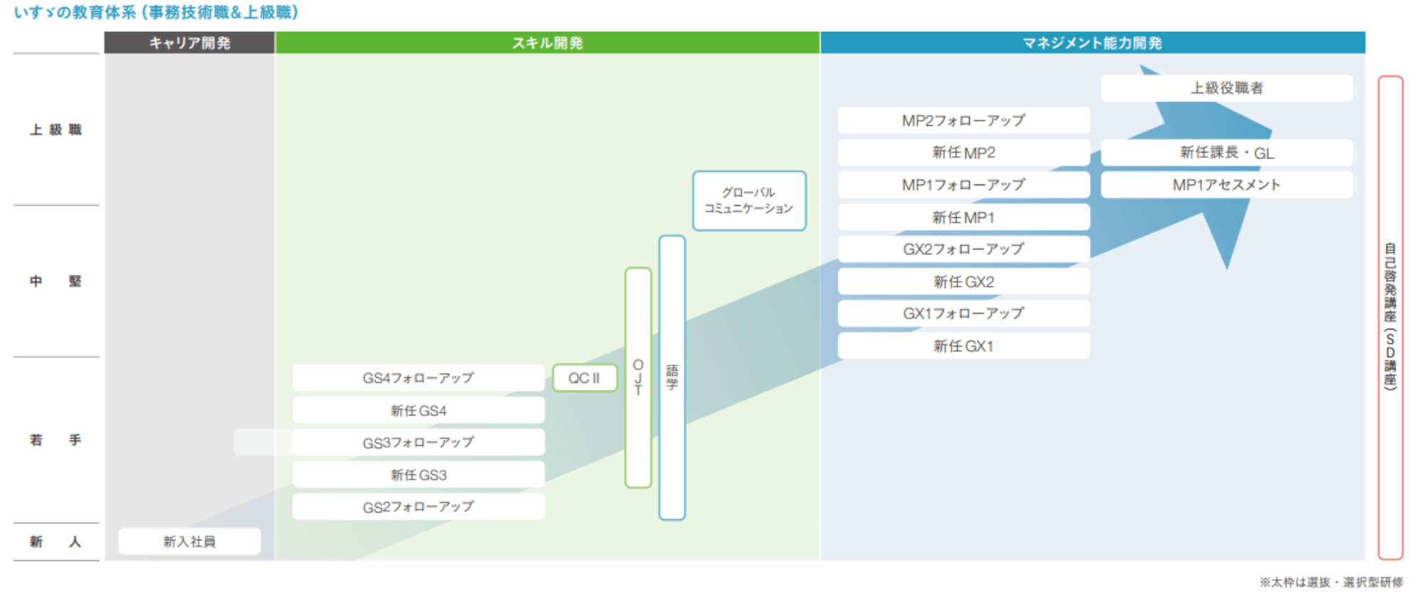 教育・研修体系