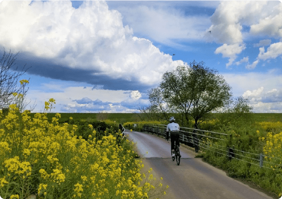 自然の風景