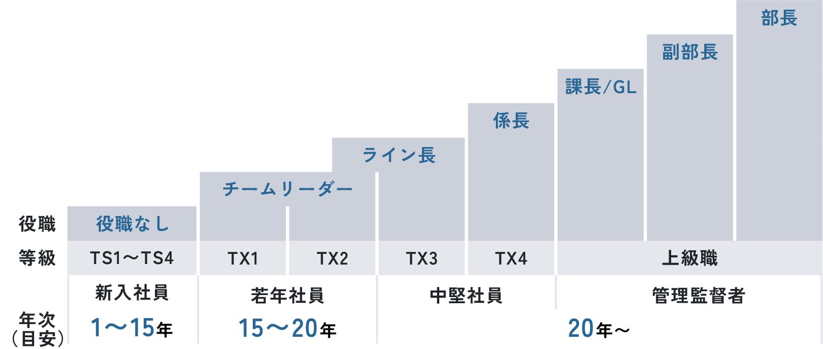 育成体系キャリアステップの図