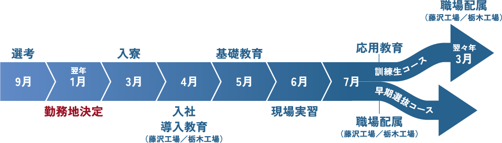 入社から配属までの図